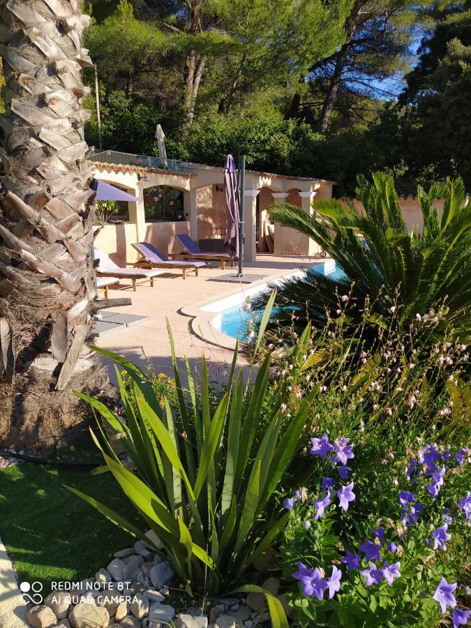Appartement Giovanna Ceyreste Εξωτερικό φωτογραφία