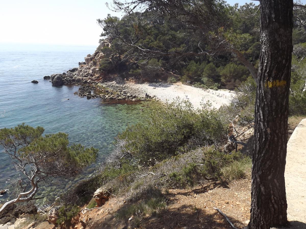 Appartement Giovanna Ceyreste Εξωτερικό φωτογραφία