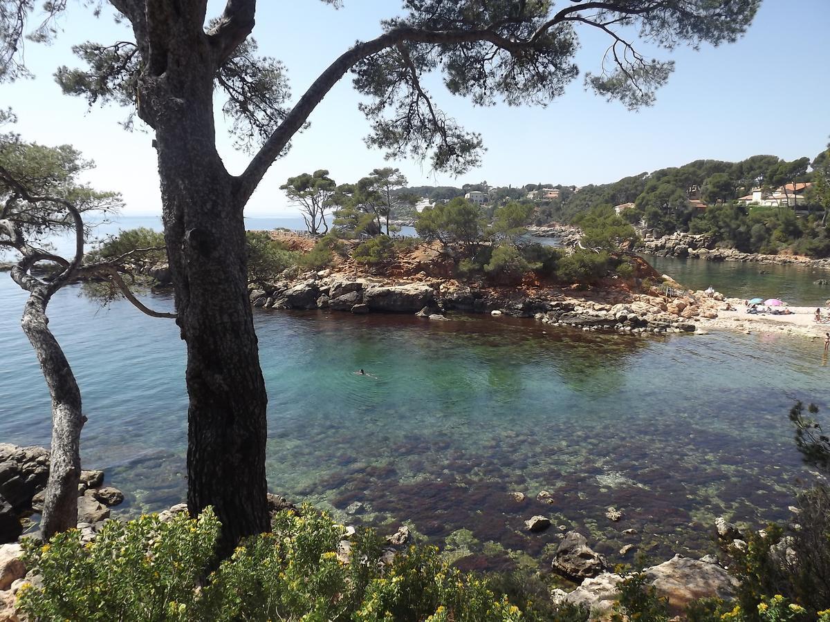 Appartement Giovanna Ceyreste Εξωτερικό φωτογραφία